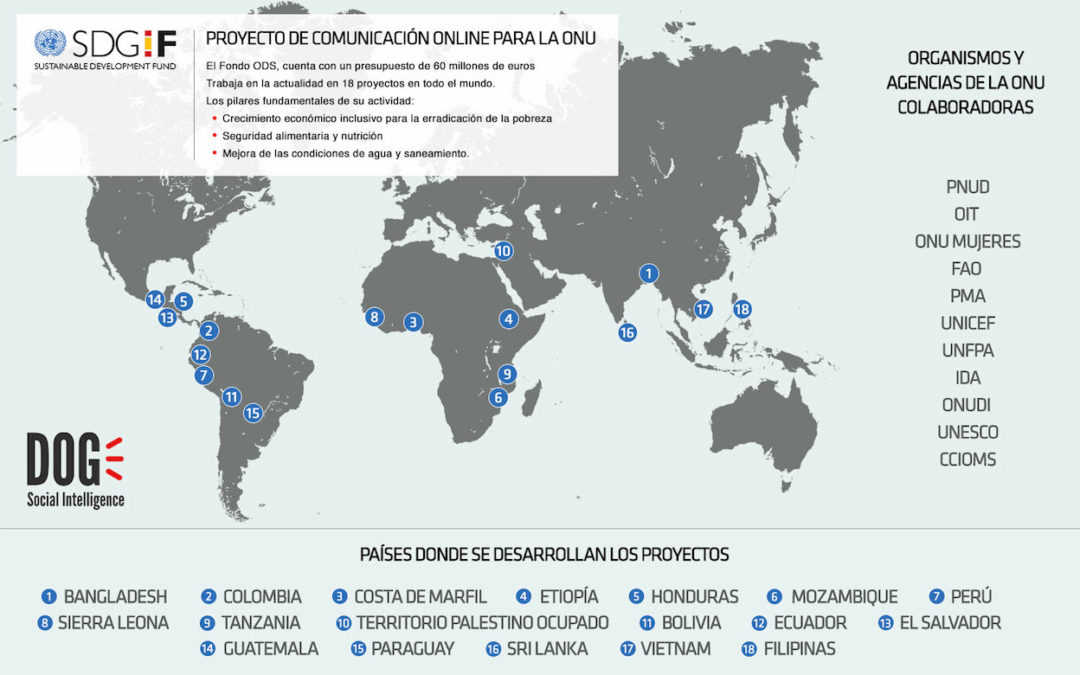 Nuestro trabajo en la ONU