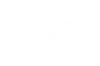 PP